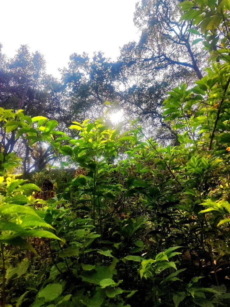 Imagen subida por Fernando