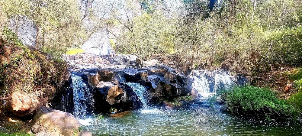 Imagen subida por Fernando