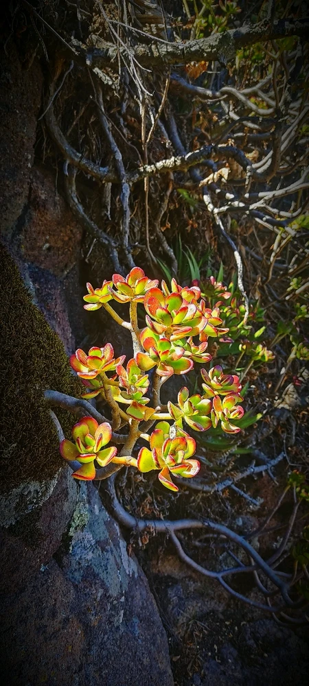 Imagen subida por Fernando