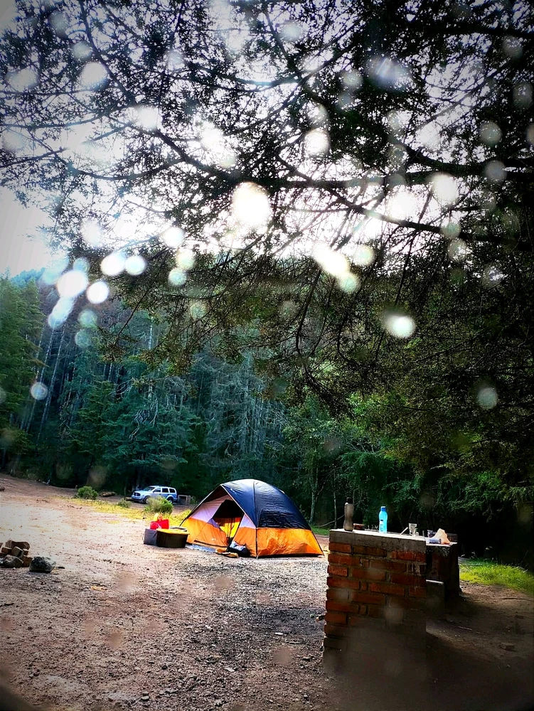 Imagen subida por Fernando