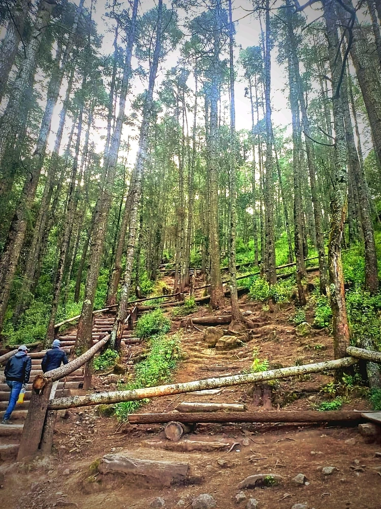 Imagen subida por Fernando