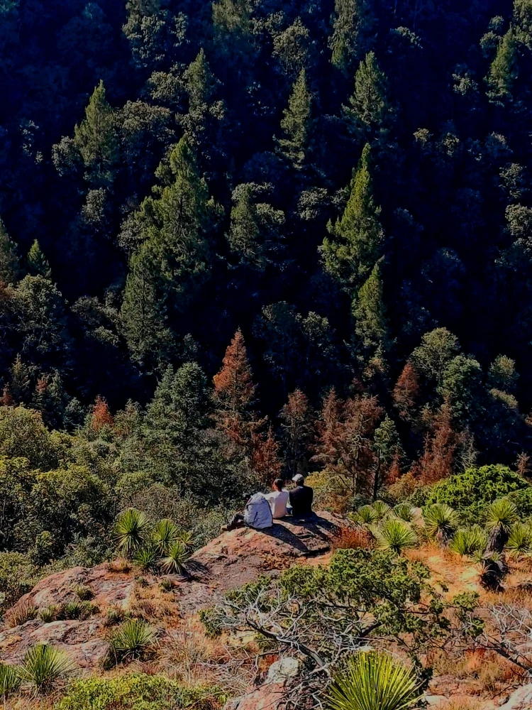 Imagen subida por Fernando