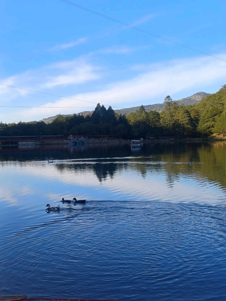 Imagen subida por Fernando