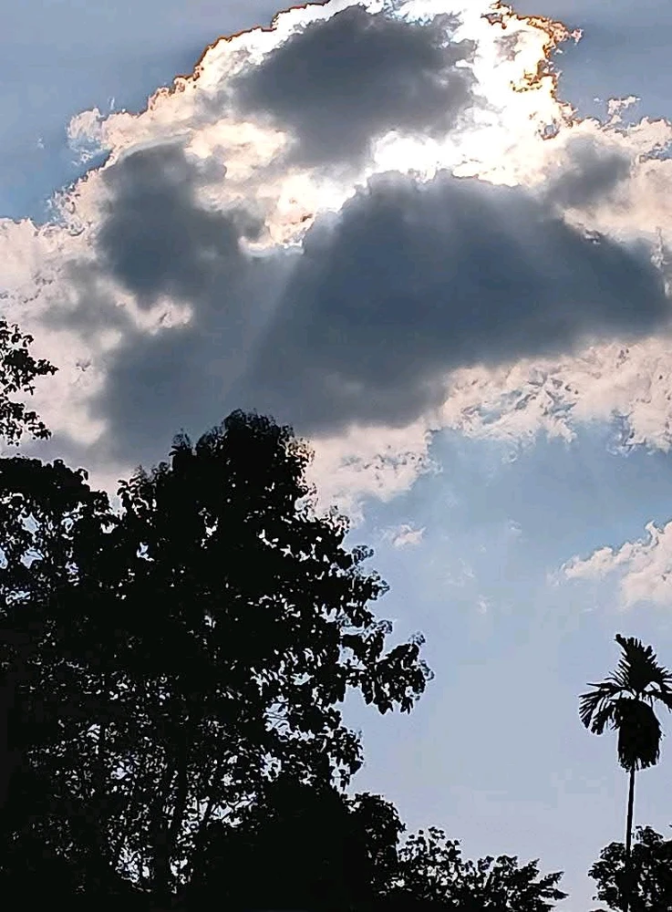 Image uploaded by 💜J💜o💜e💜y💜