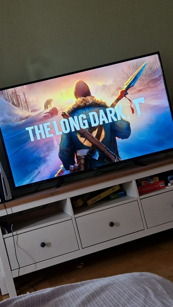 The long dark