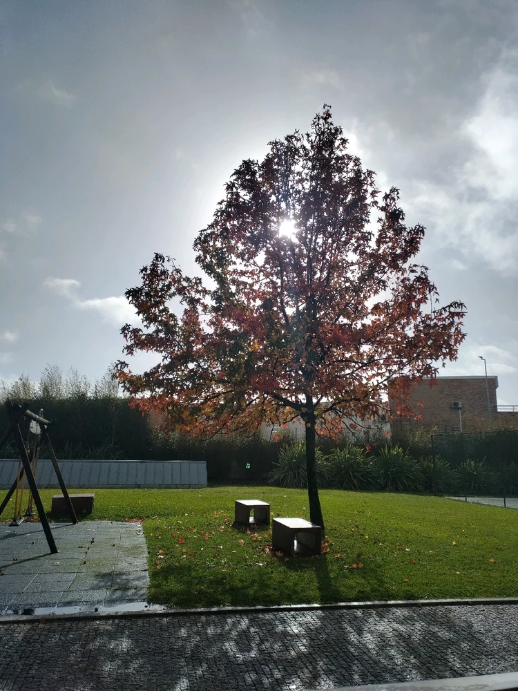 GIF enviado por João Gonçalo