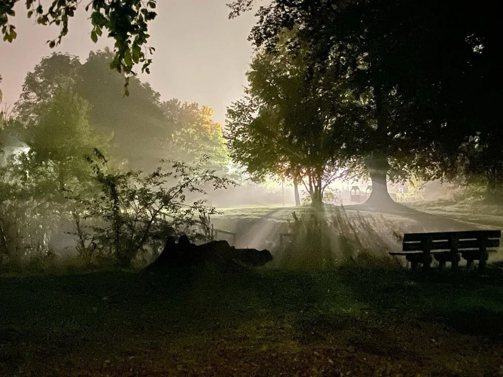 The greatest photo I’ve ever taken or one of ……