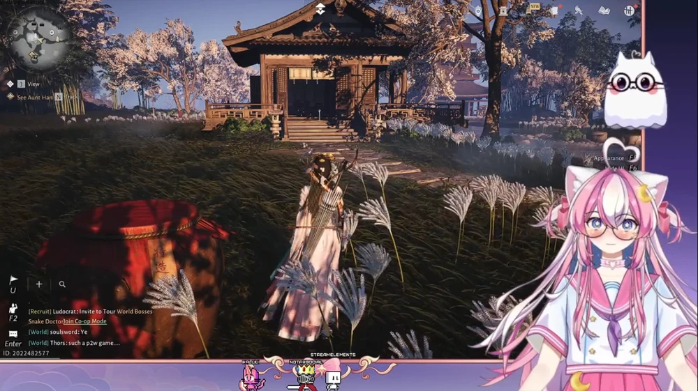 Zapraszam na streamek!