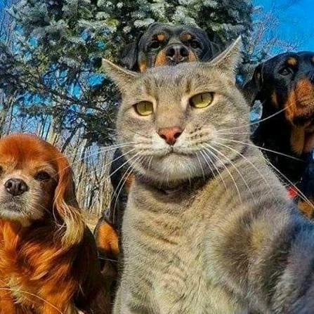 GIF dodany przez Umberto