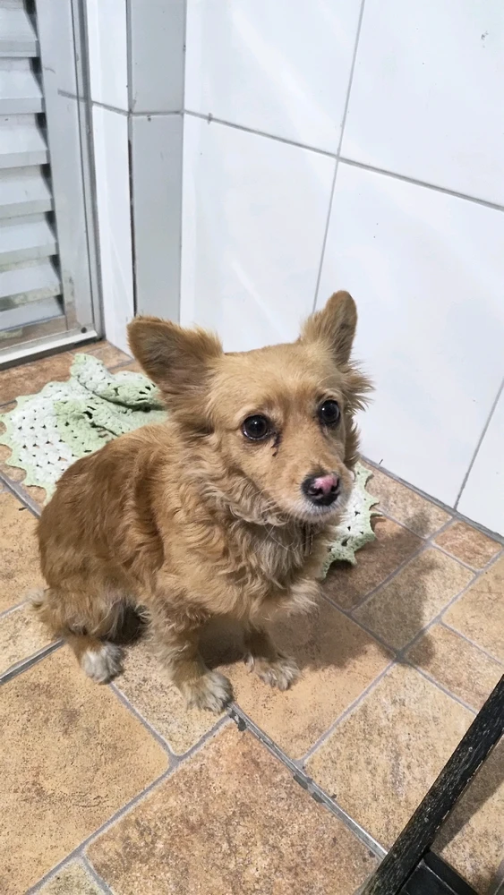 GIF enviado por Roberta