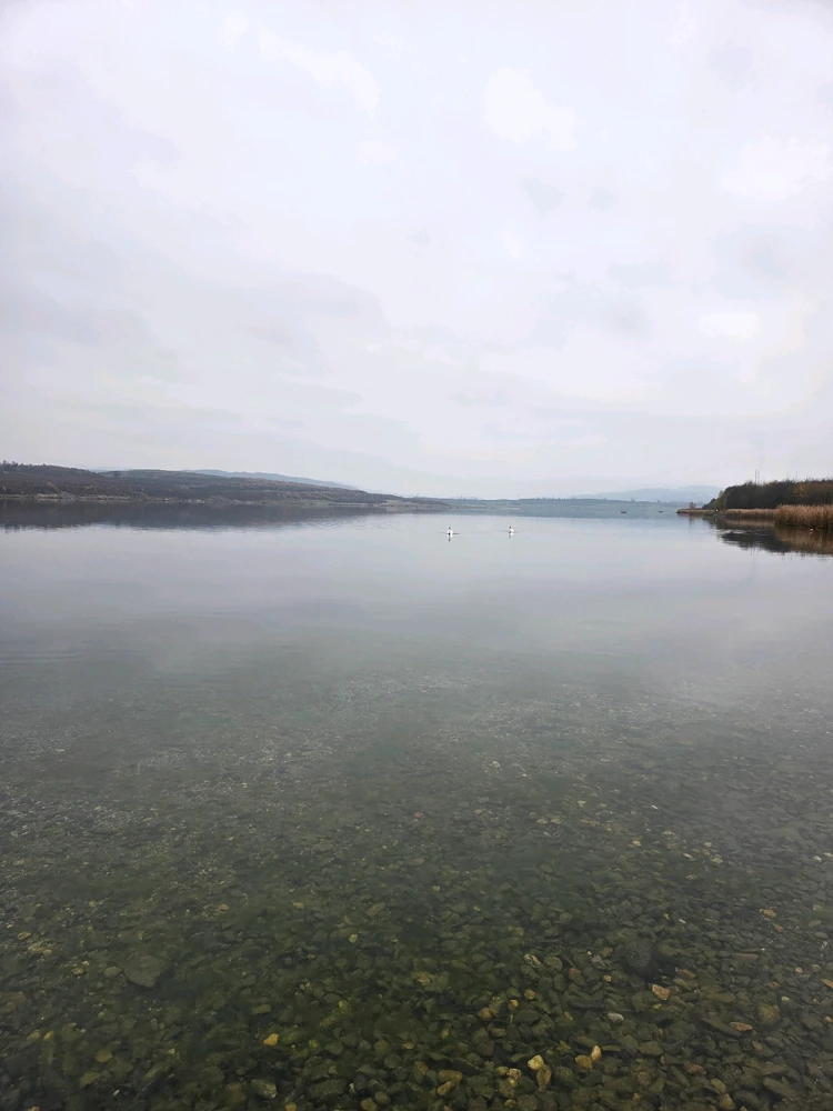 Obrázek nahrál Peťule