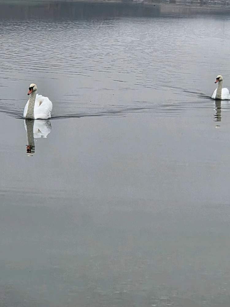 Obrázek nahrál Peťule