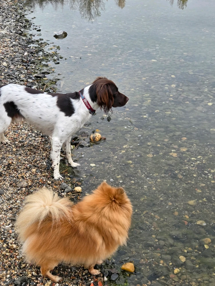 Obrázek nahrál Peťule