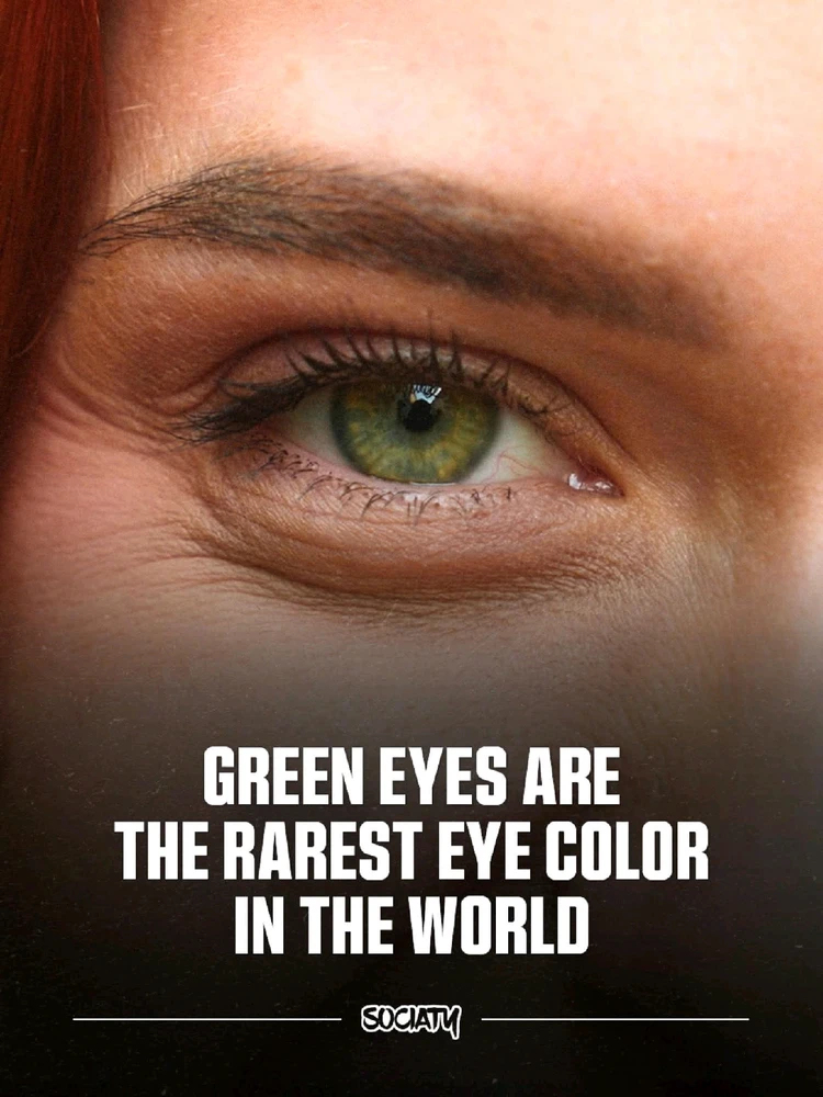 GIF uploaded by חן