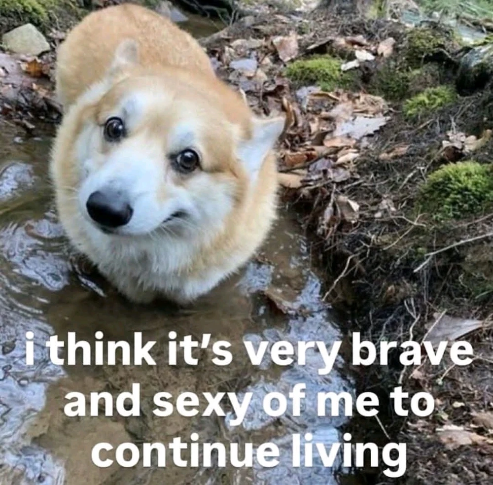 Bence által feltöltött GIF