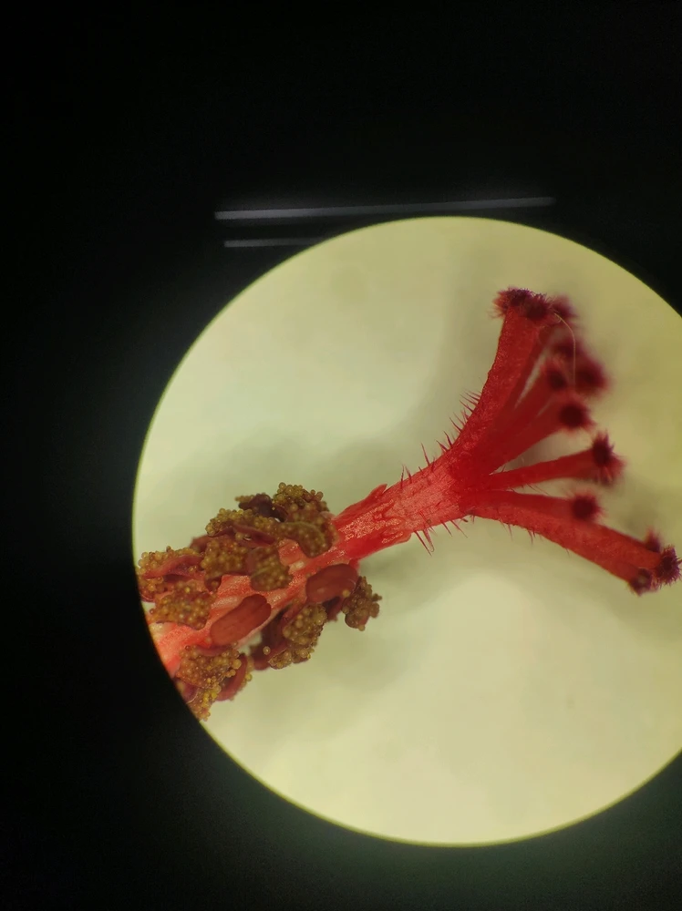 GIF uploaded by Jaime