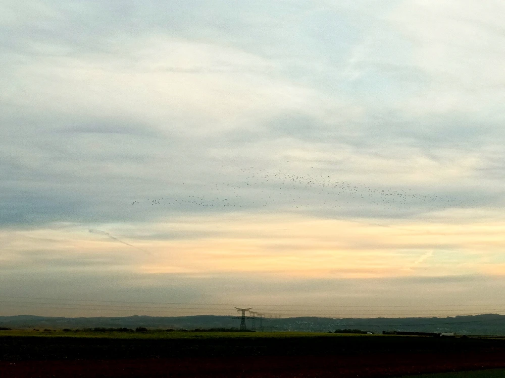 Image ajoutée par Cymoriel🦋