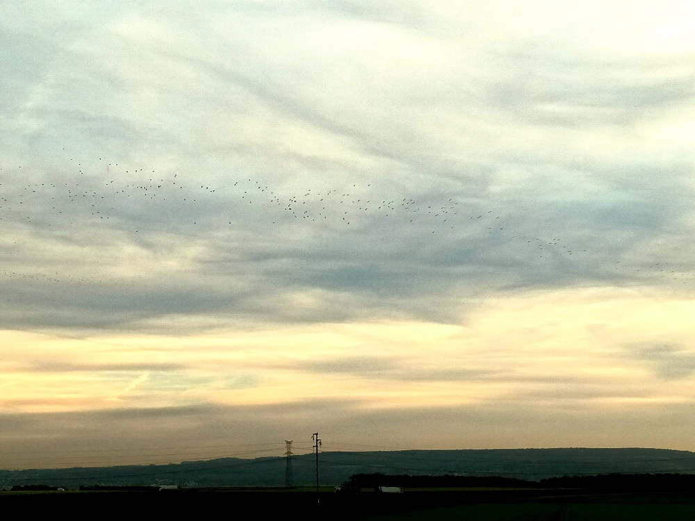 Image ajoutée par Cymoriel🦋