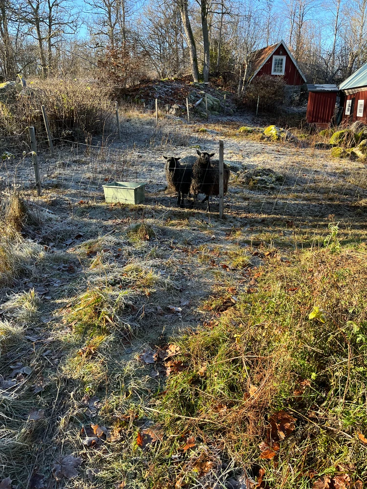 Image uploaded by Fredric