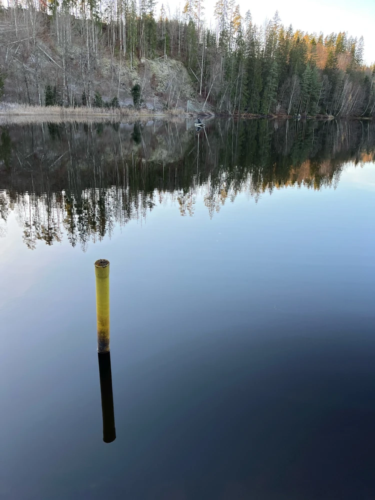 Image uploaded by Fredric