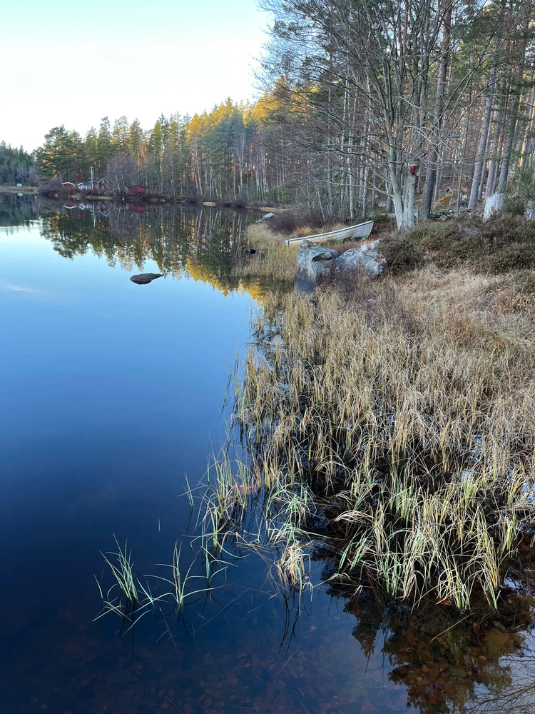 Image uploaded by Fredric