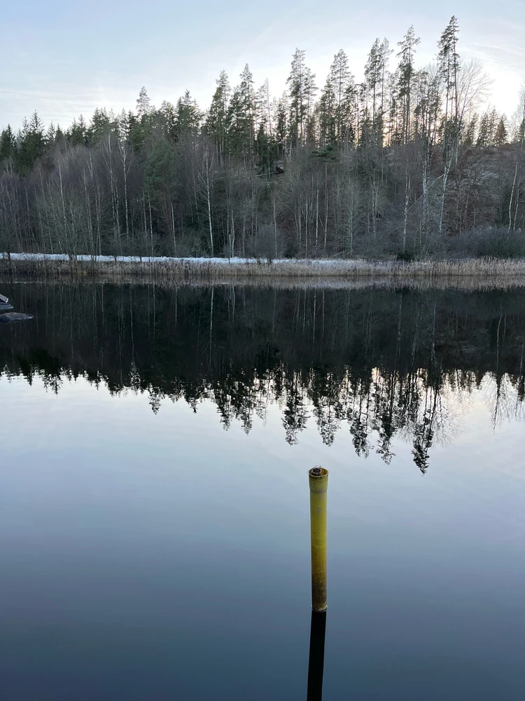 Image uploaded by Fredric