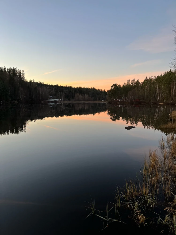 Image uploaded by Fredric