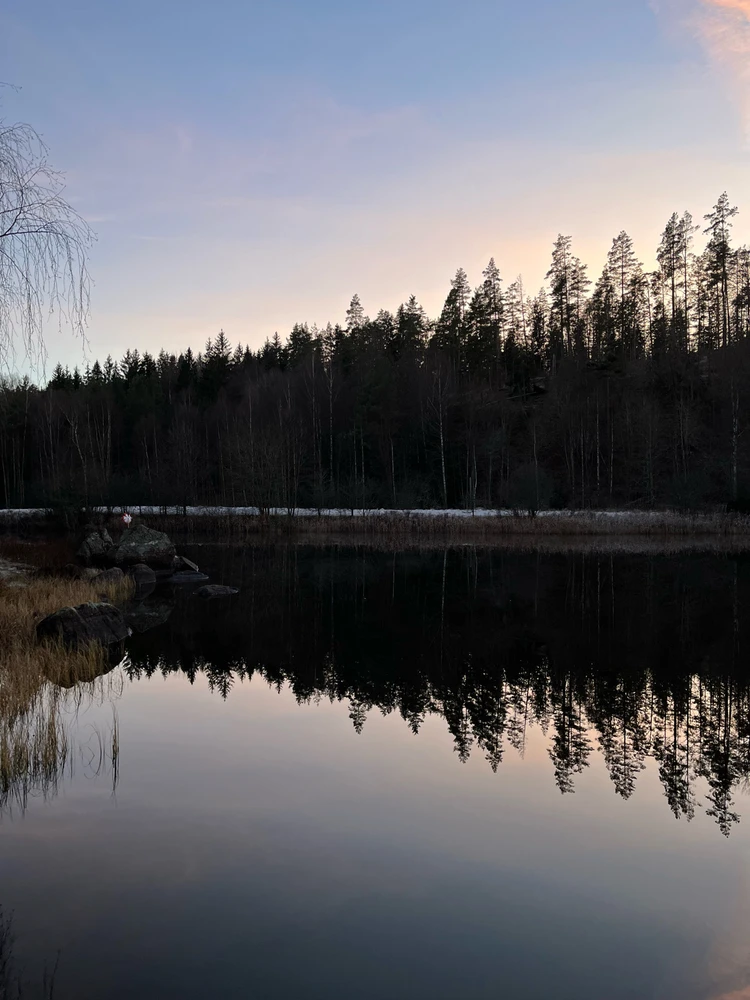 Image uploaded by Fredric