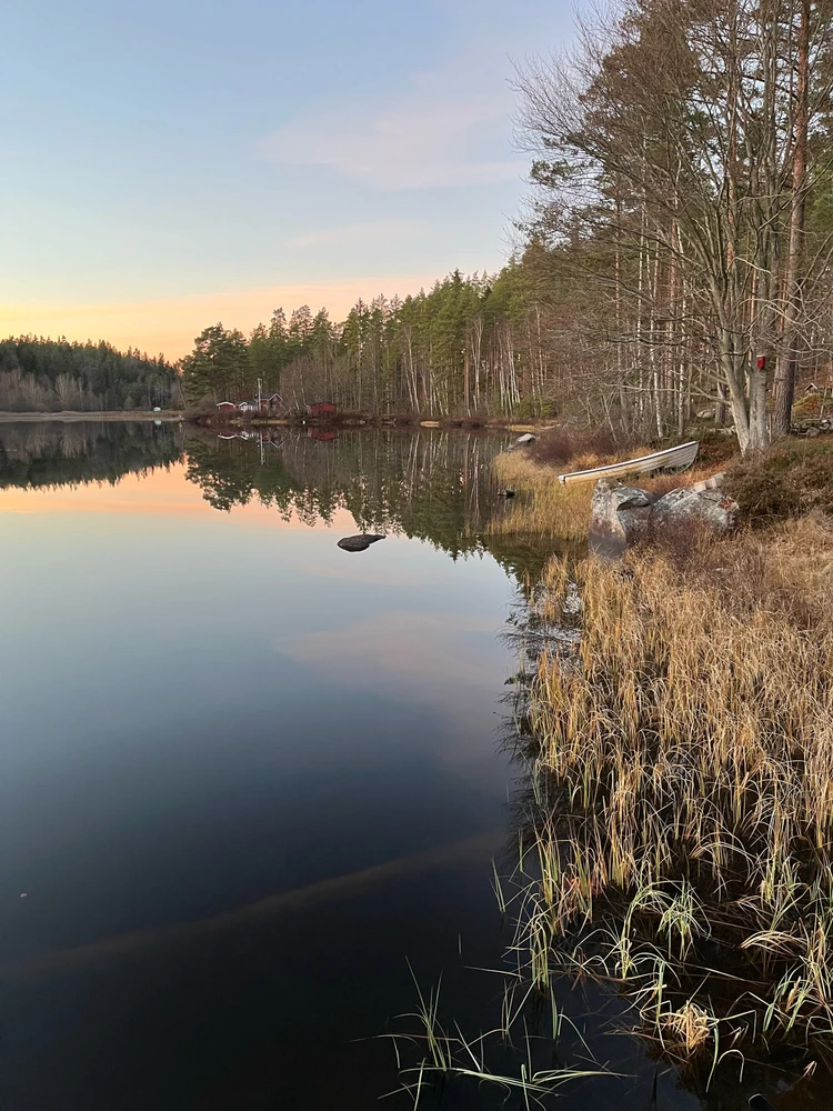 Image uploaded by Fredric