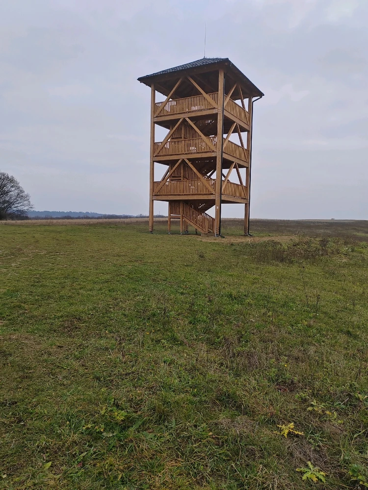 Fotku nahral/-a Michal