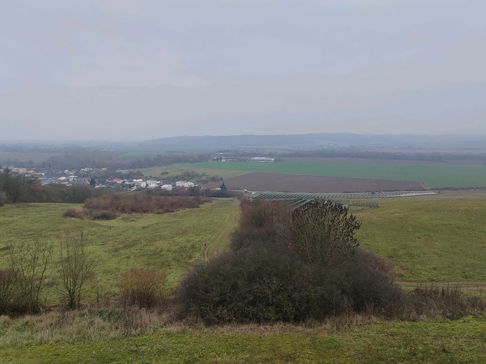 Fotku nahral/-a Michal