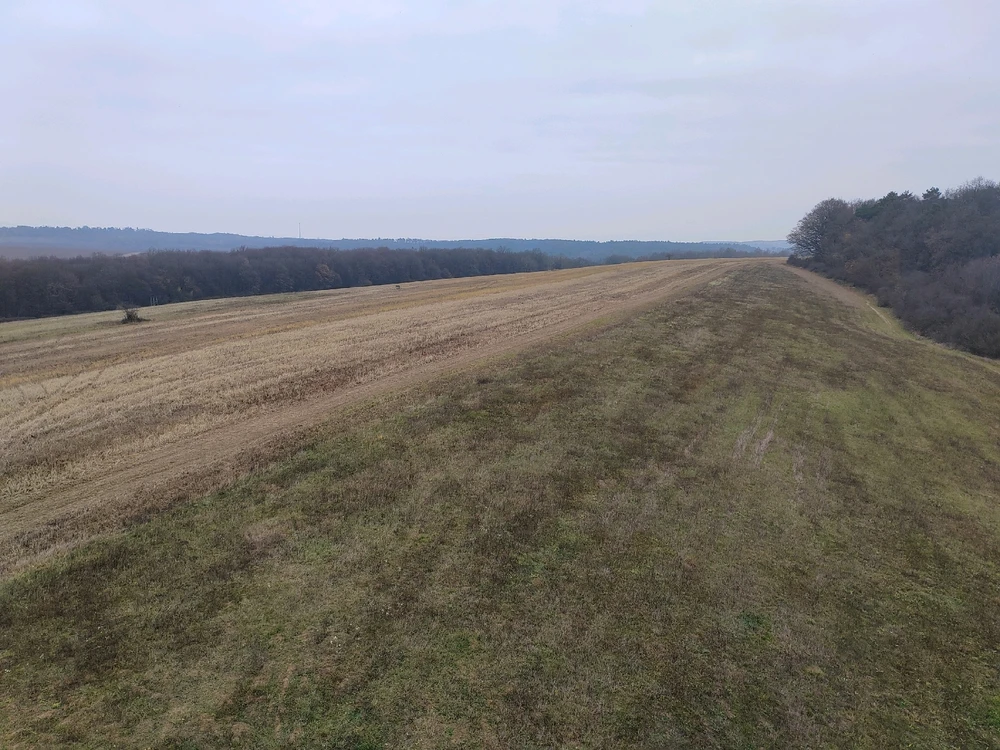 Fotku nahral/-a Michal