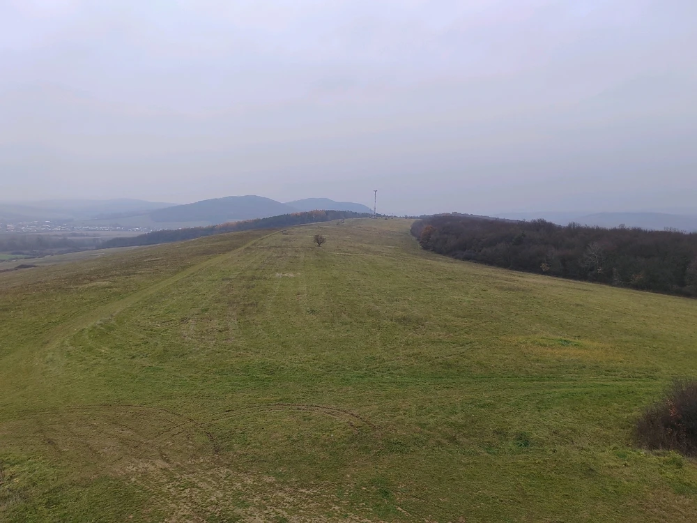 Fotku nahral/-a Michal