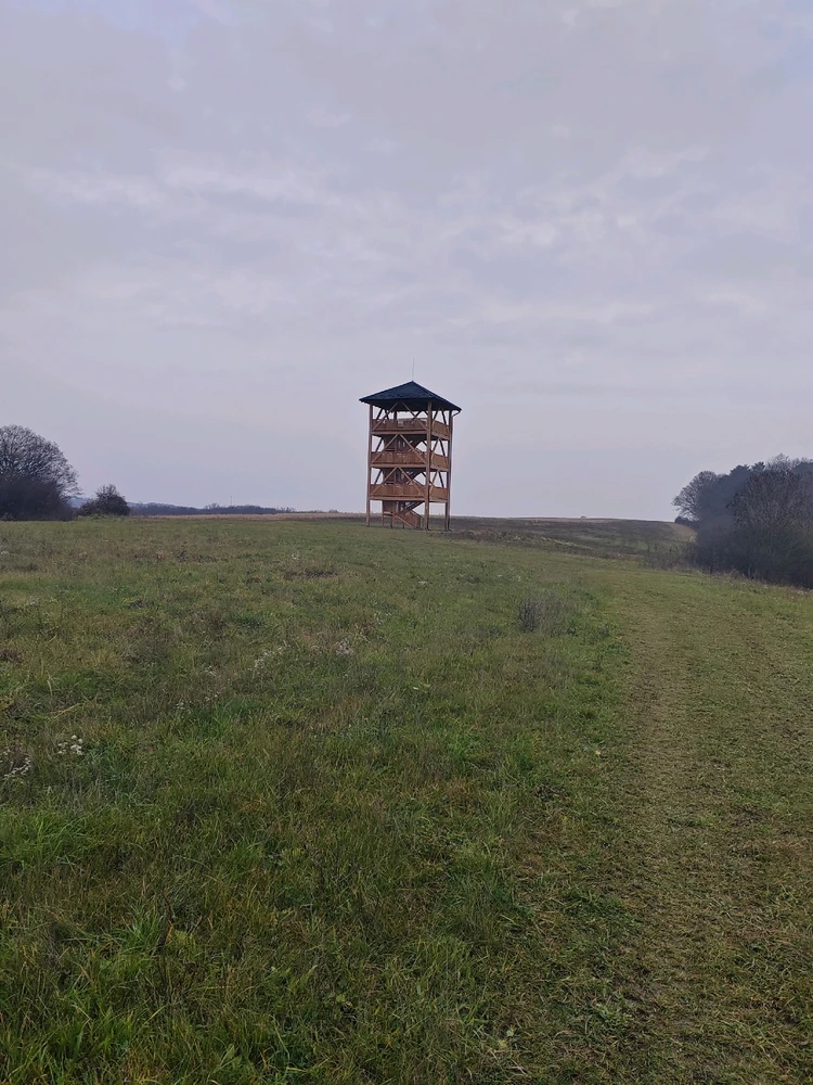 Fotku nahral/-a Michal