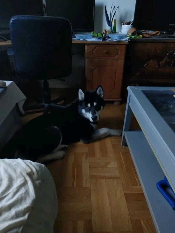 Bild uppladdad av Fredrik