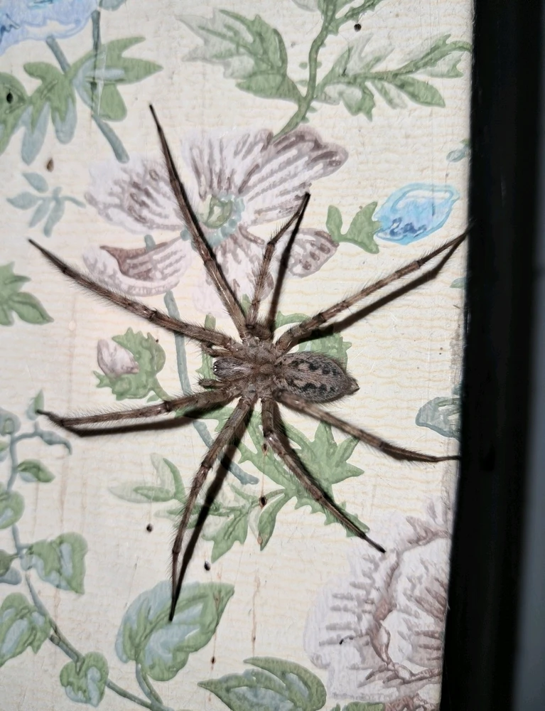 Image ajoutée par Angélique