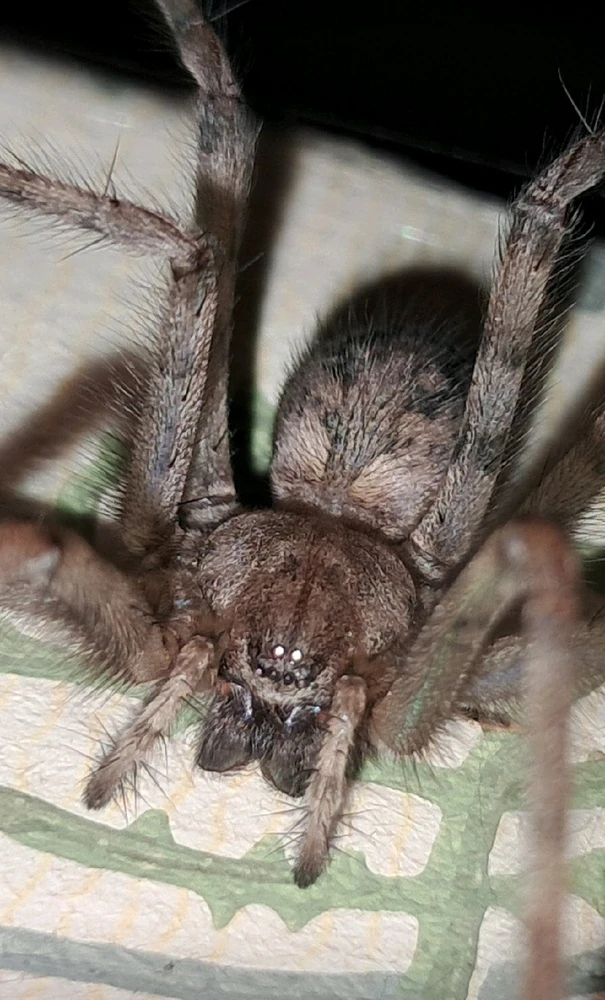 Image ajoutée par Angélique