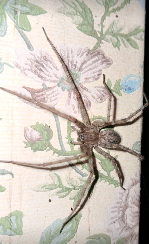 Image ajoutée par Angélique