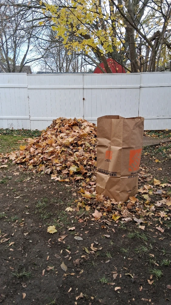 Image uploaded by Link