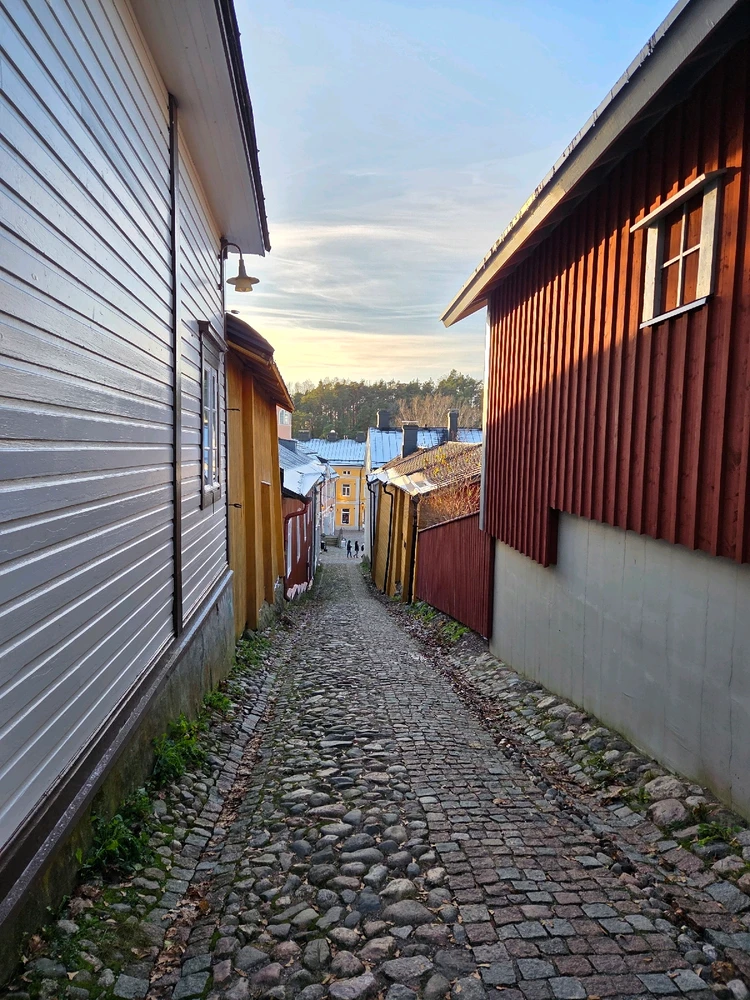 Image uploaded by Sanni