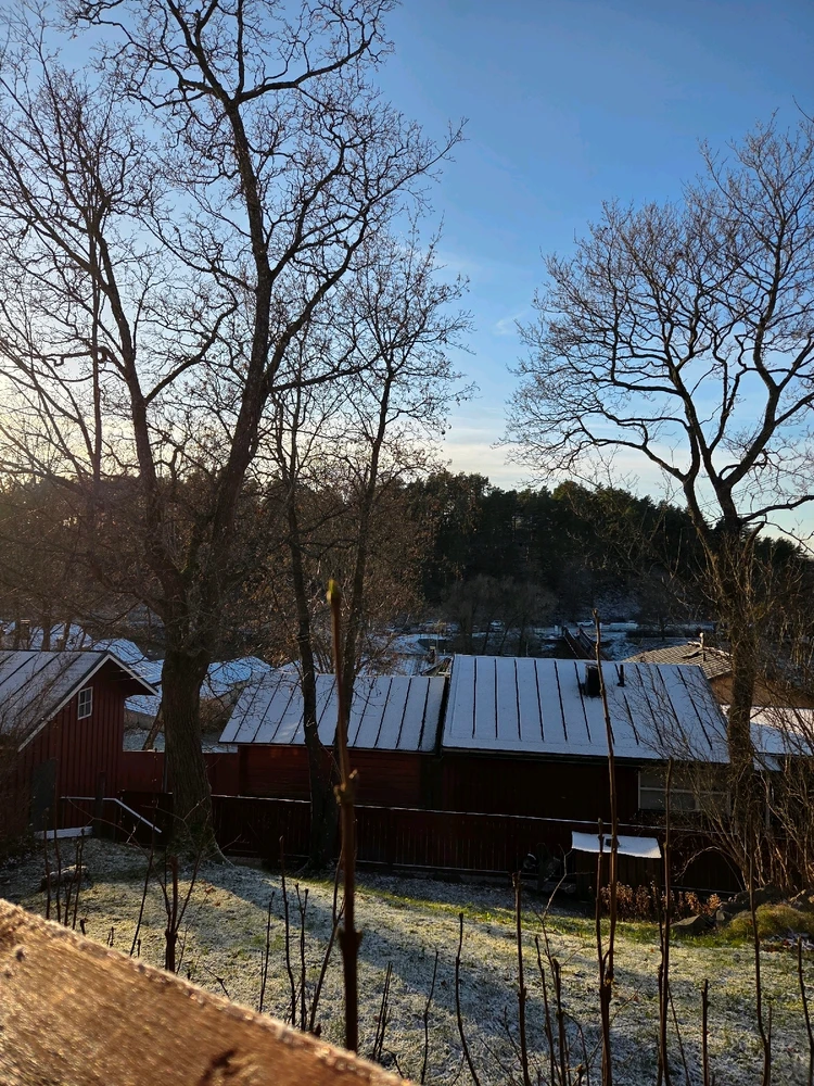 Image uploaded by Sanni