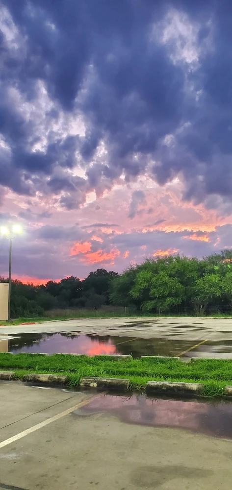 GIF uploaded by Conlan