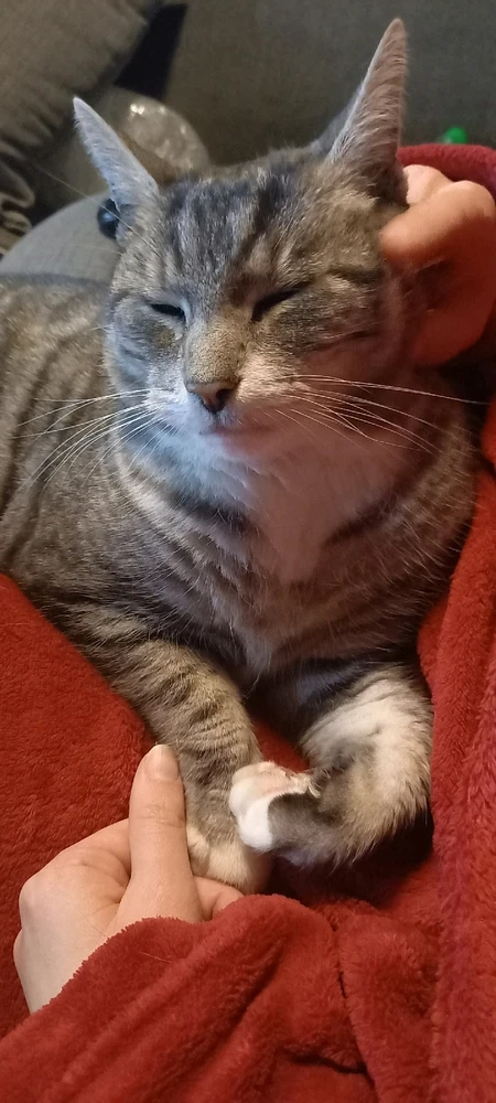 GIF hochgeladen von Bierserker aka Basti