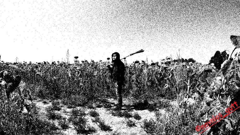 Image uploaded by Mike