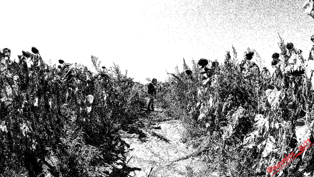 Image uploaded by Mike