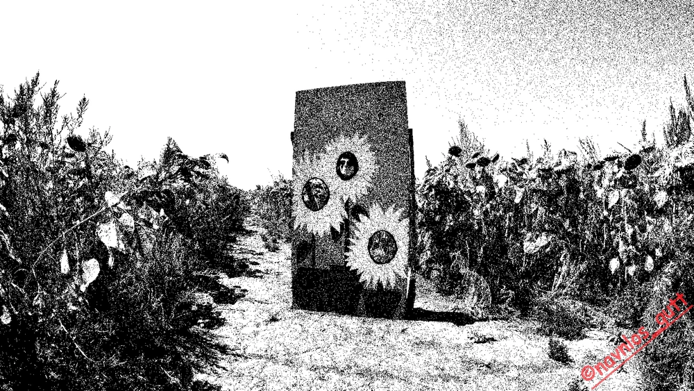 Image uploaded by Mike