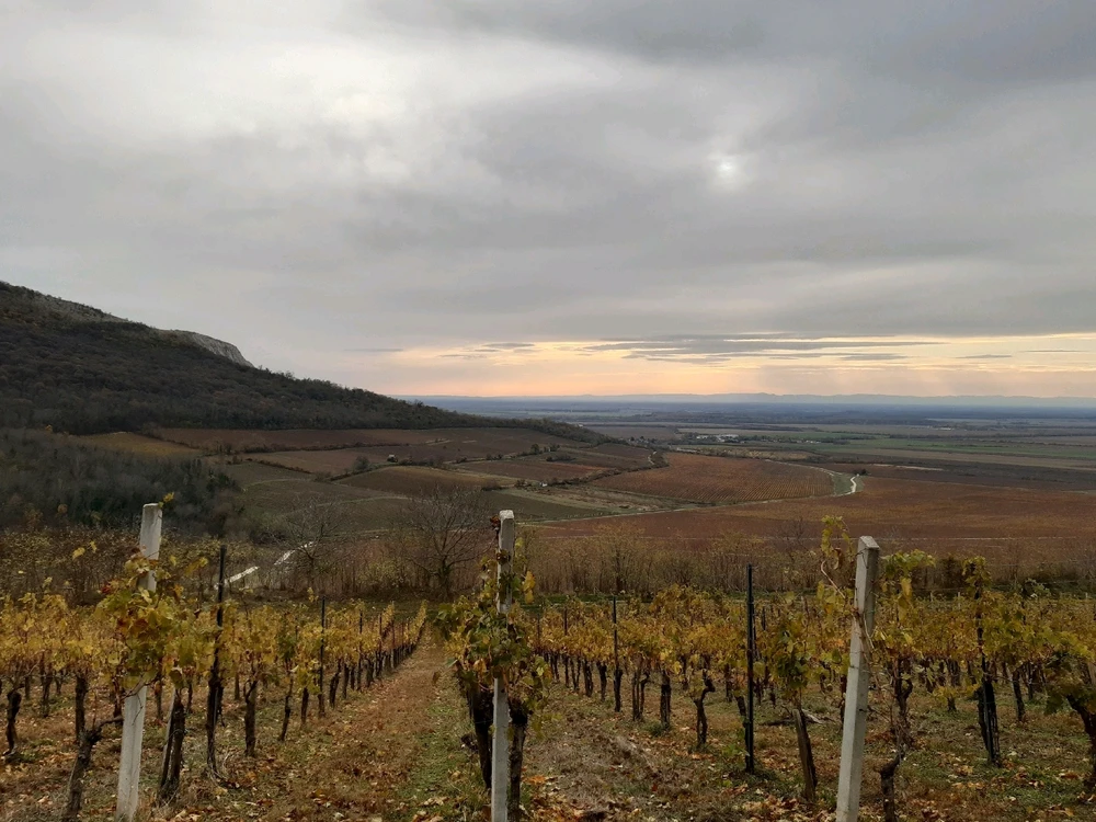 Karola által feltöltött kép