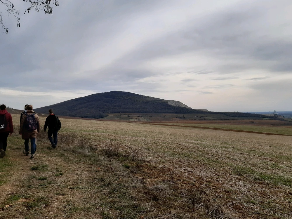 Karola által feltöltött kép