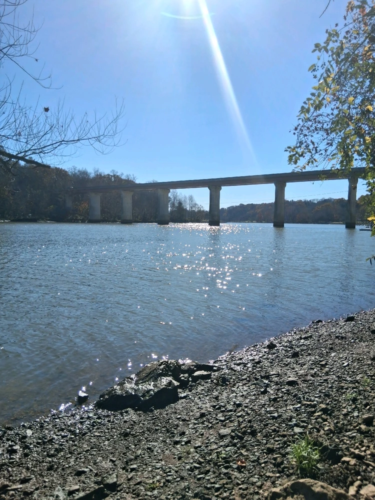 Image uploaded by BJ