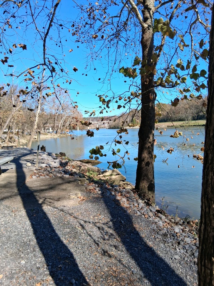 Image uploaded by BJ